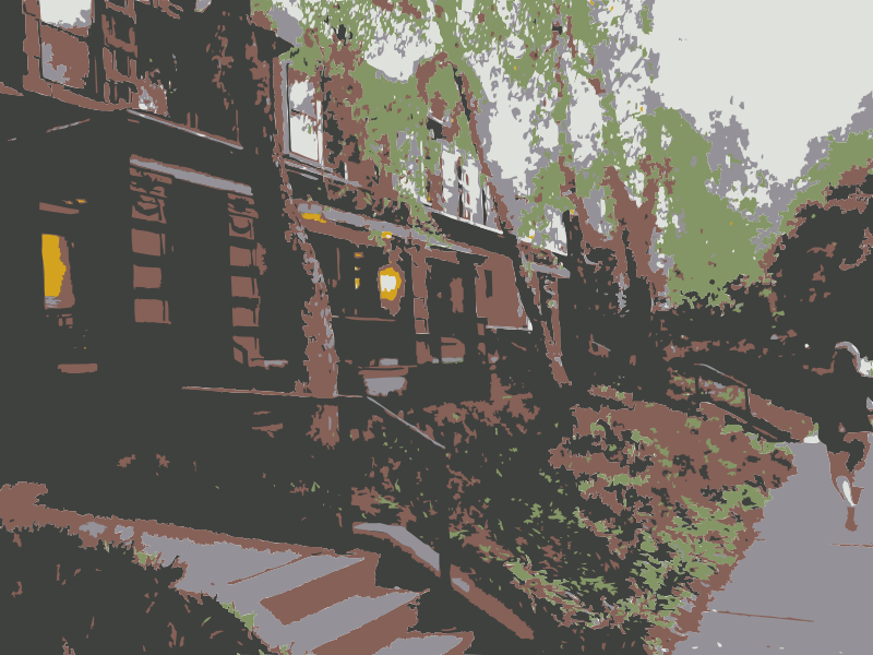 Tree Clipart (800x600), Png Download