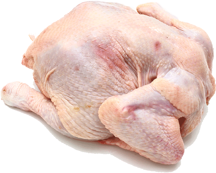 Bird Clipart (847x1000), Png Download