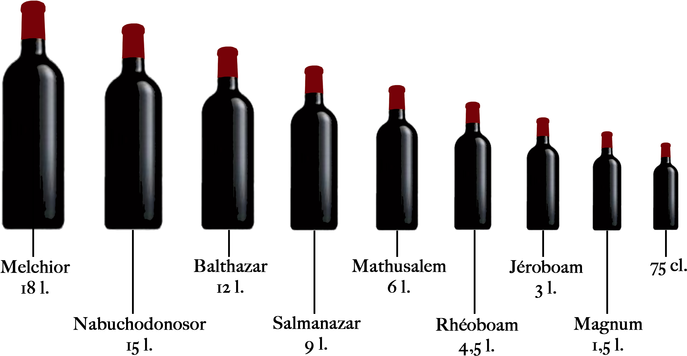 Какой рост у вина. Диаметр бутылки вина 0.75 стандартной. Названия винных бутылок. Градация винных бутылок. Высота винной бутылки.