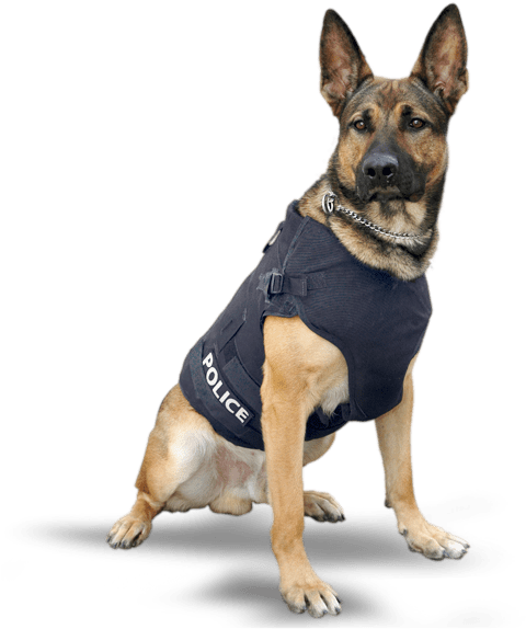 Police Dog Png Clipart (549x600), Png Download