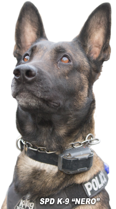 Police K9 Copy - Dog Catches Something Clipart (700x700), Png Download