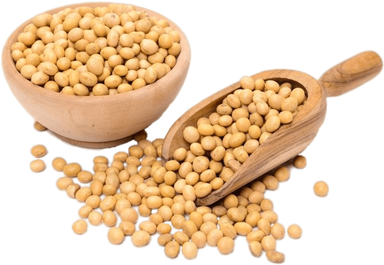 Food - Soy Png Clipart (800x550), Png Download