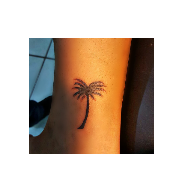 Palmera Sticker - Temporary Tattoo Clipart - Large Size Png Image - PikPng