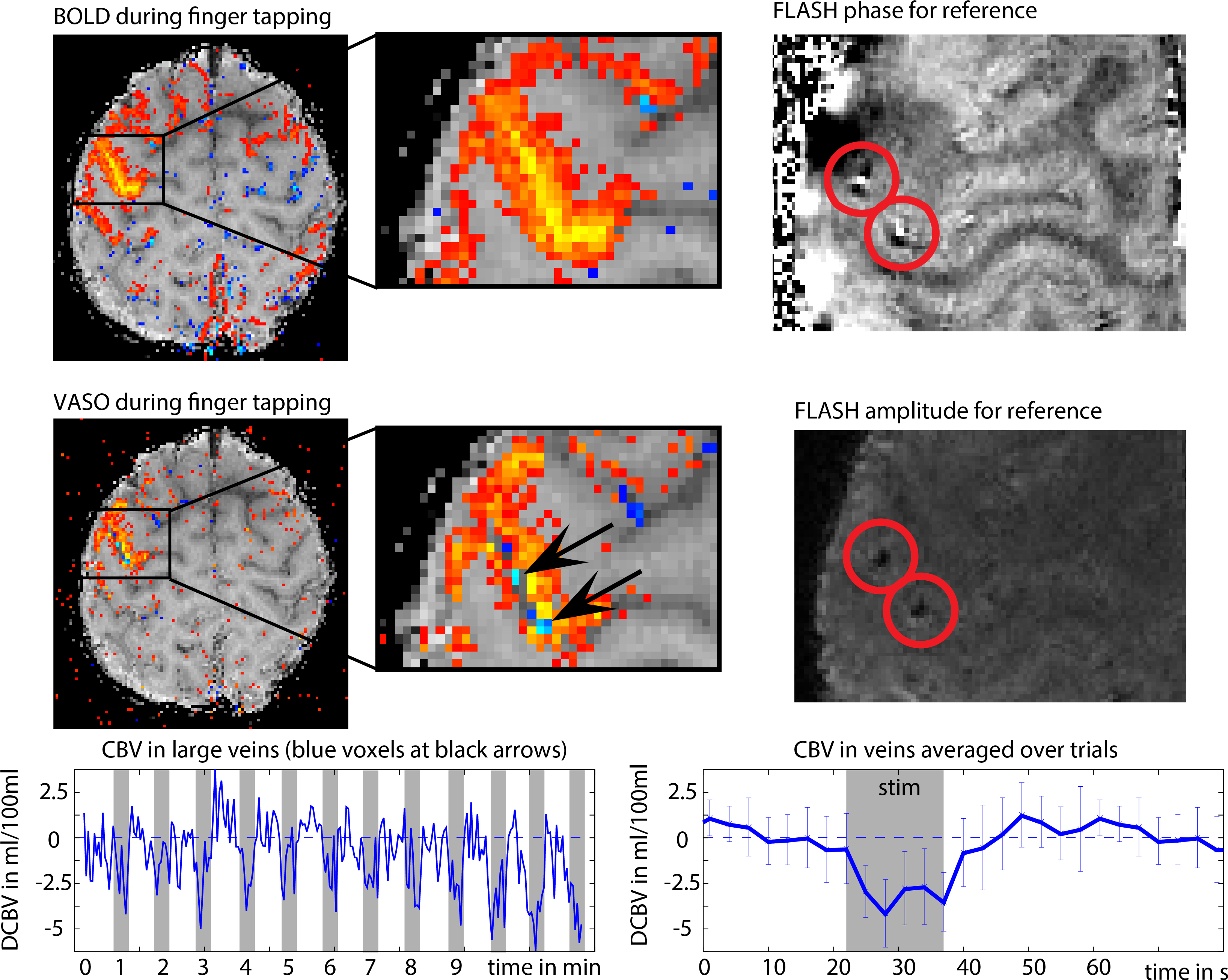Circle Clipart (3385x2828), Png Download