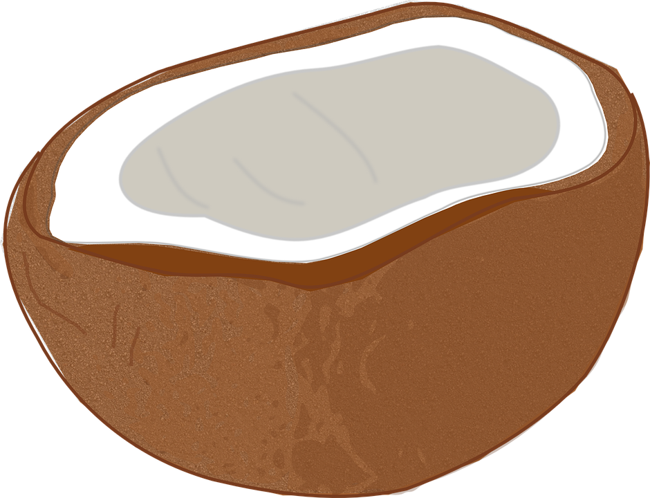 Coconut Tropical Free - Coconut Meat Clip Art - Png Download (940x720), Png Download