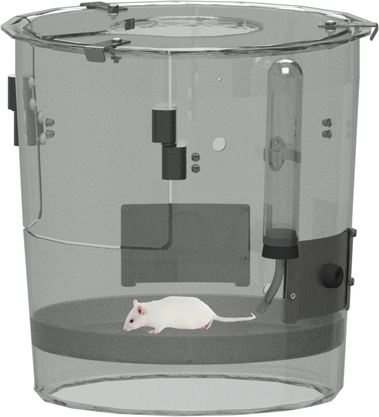 Rat Clipart (748x823), Png Download