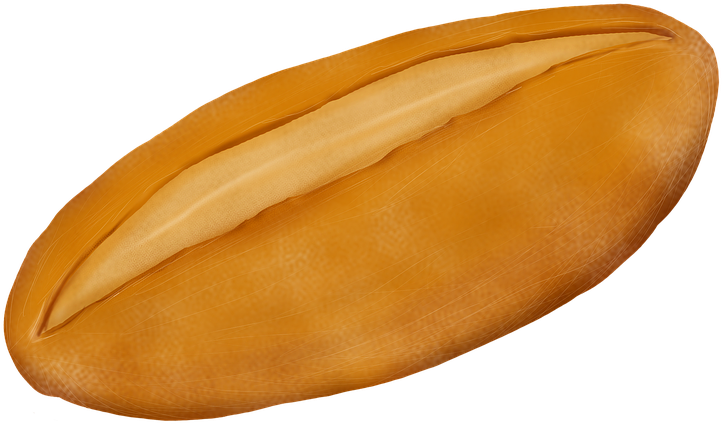 Mango Clipart (960x575), Png Download