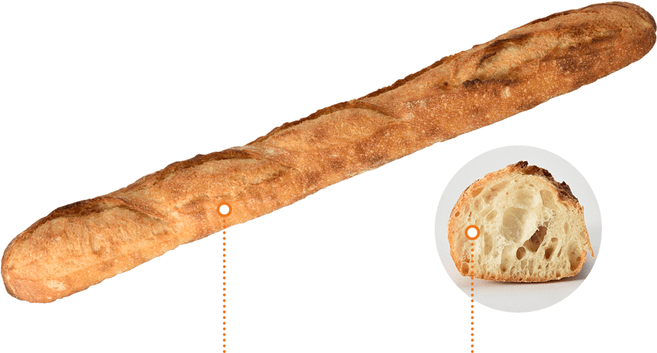 Baguette Tradition - Baguette Clipart (1000x510), Png Download