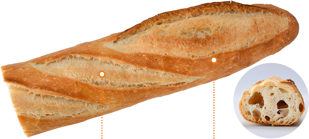 Baguette Clipart (1000x510), Png Download
