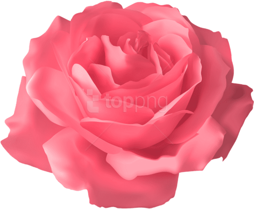Free Png Download Soft Pink Rose Transparent Png Images - Blue Flower Png Transparent Clipart (850x696), Png Download
