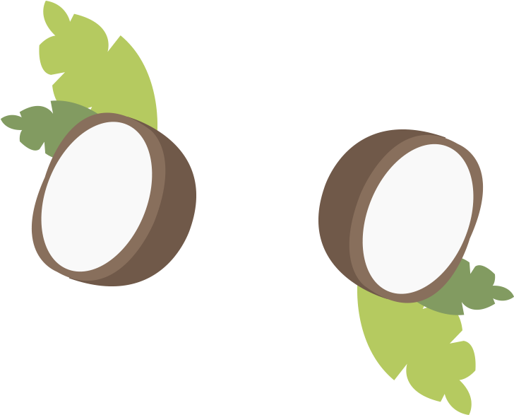 Coconut Oil Large Illustrations - Coconut Oil Icon Clipart (800x800), Png Download