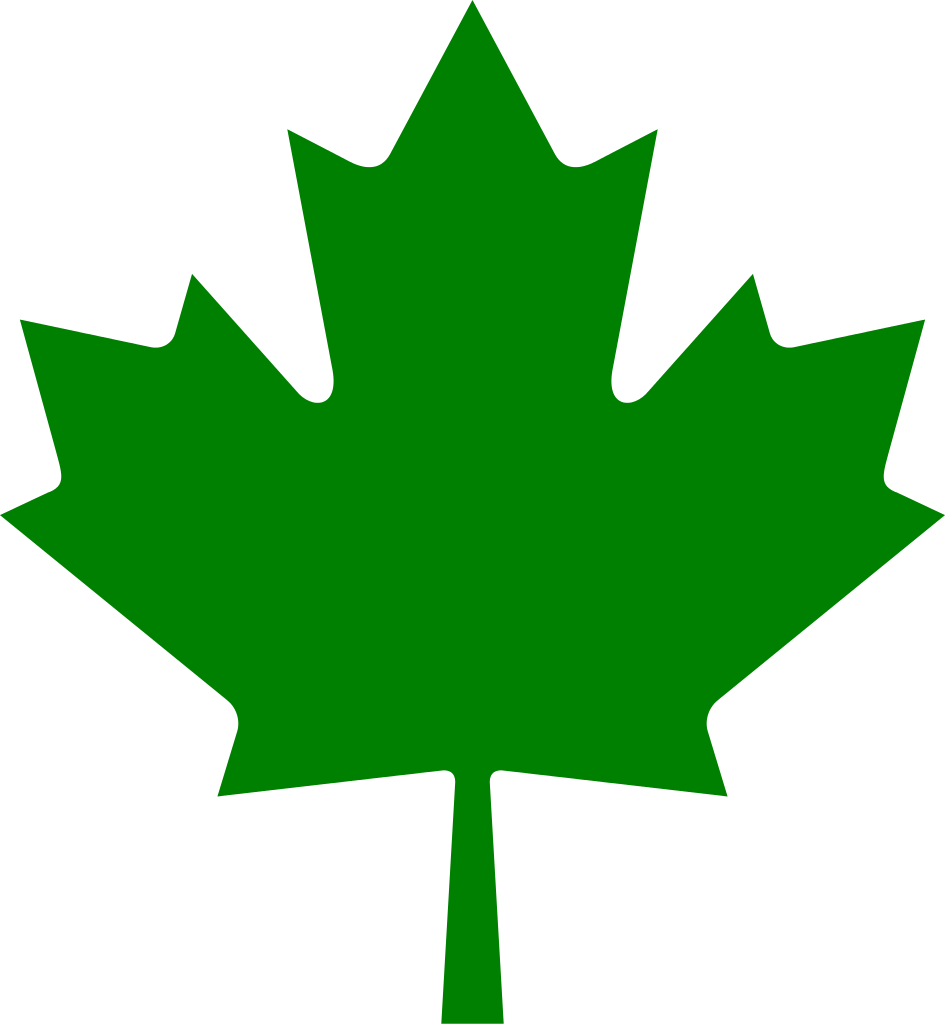 File Leaf Svg Wikimedia Commons Filegreen Leafsvg - Maple Leaf Png Clipart (945x1024), Png Download