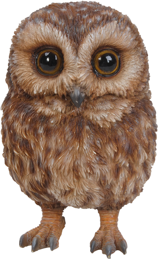 Pet Pals Baby Tawny Owl - Baby Tawny Owl Clipart (504x825), Png Download