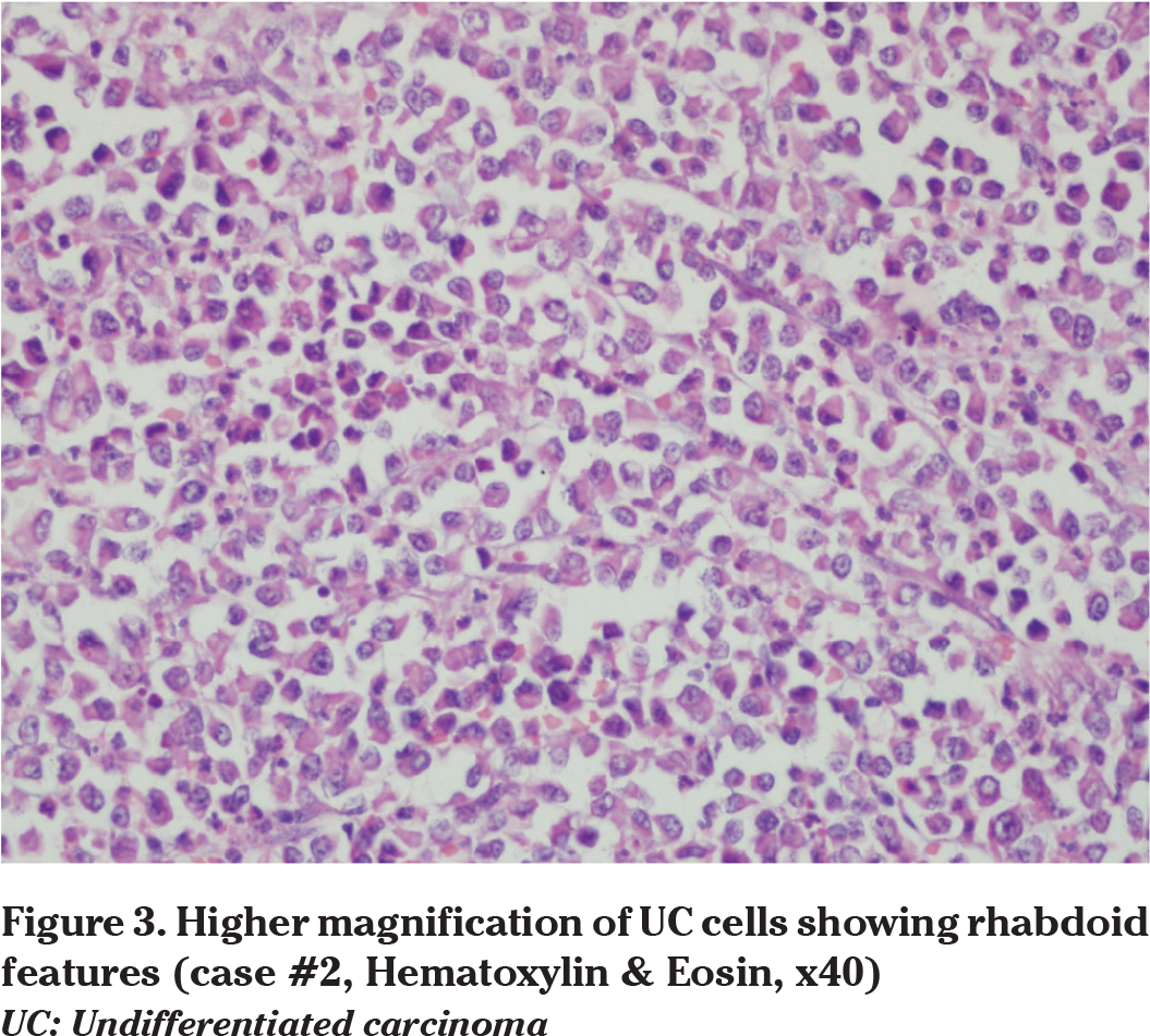 Images - Lavender Clipart (1065x963), Png Download