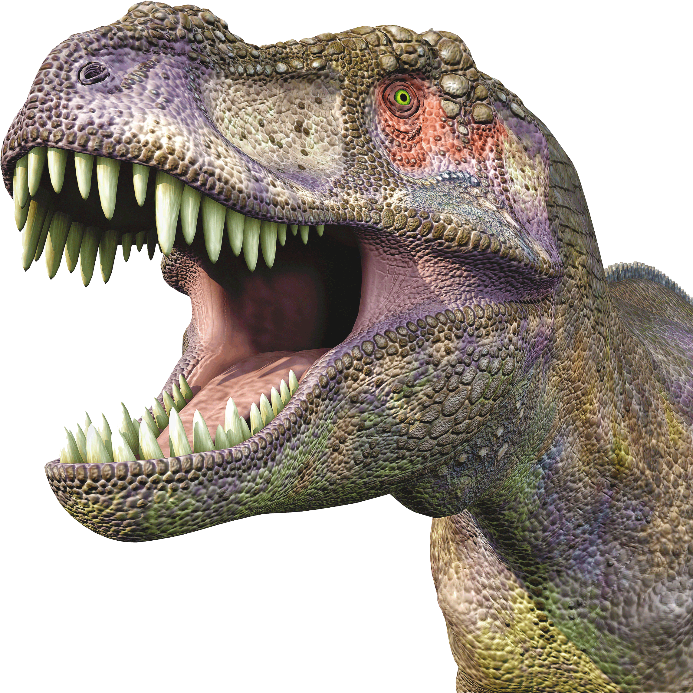 Dinosaur Head Png - Professores E Professauros Pdf Clipart (3840x2400), Png Download