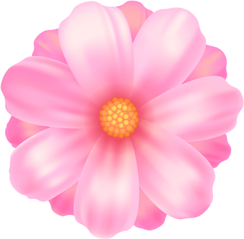 Flower Transparent Png - Flor Color Rosa Dibujo Clipart (850x832), Png Download