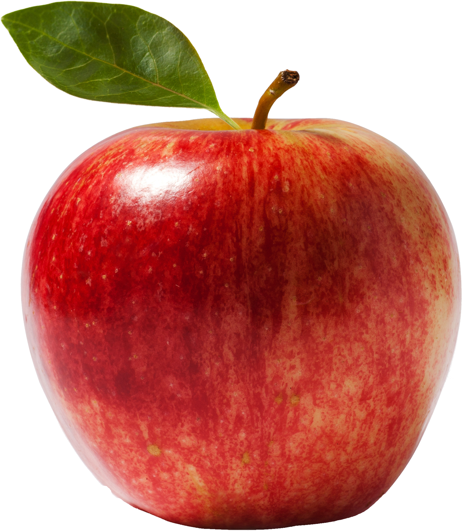 Red Apple Clipart (2040x2245), Png Download