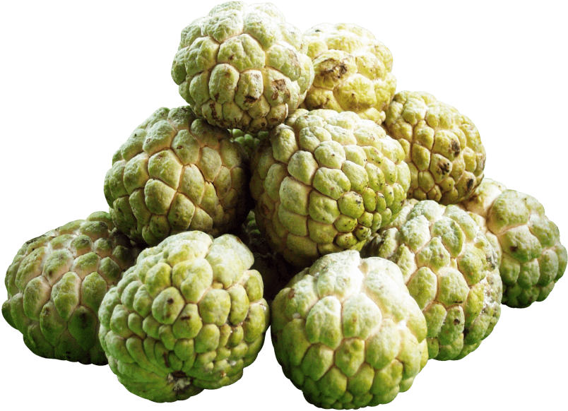 Free Png Download Custard Apples Png Images Background - Custard Apple Fruit Png Clipart (850x621), Png Download
