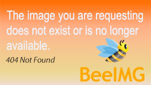 Torneo Drink Wars - Honeybee Clipart (300x169), Png Download