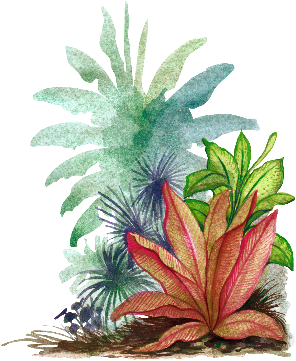 Hand Painted Watercolor Leaves Png Transparent - Illustration Clipart (1024x1228), Png Download