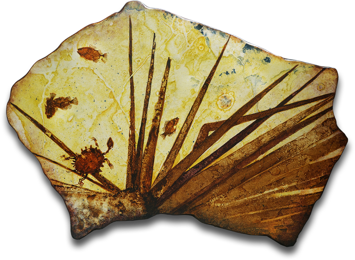 Treasures Of Fossil Lake - Maidenhair Tree Clipart (1200x870), Png Download