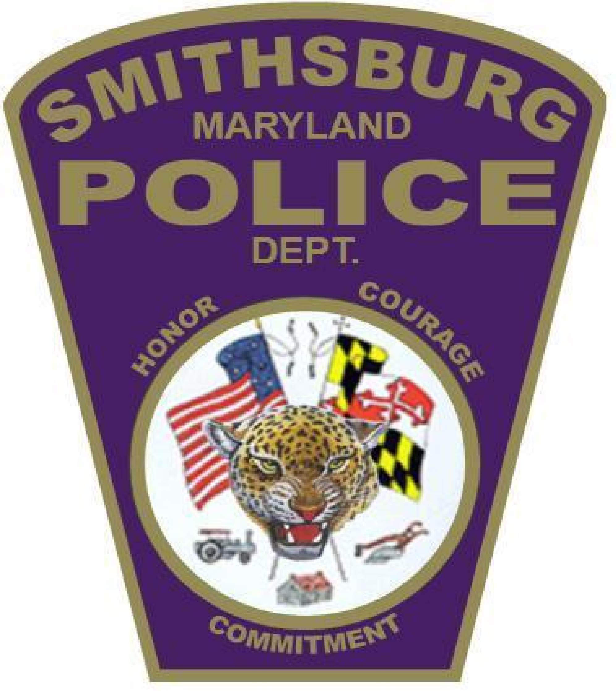 As The Chief Of Police For The Town Of Smithsburg, - Green Hornet Clipart (1994x2242), Png Download
