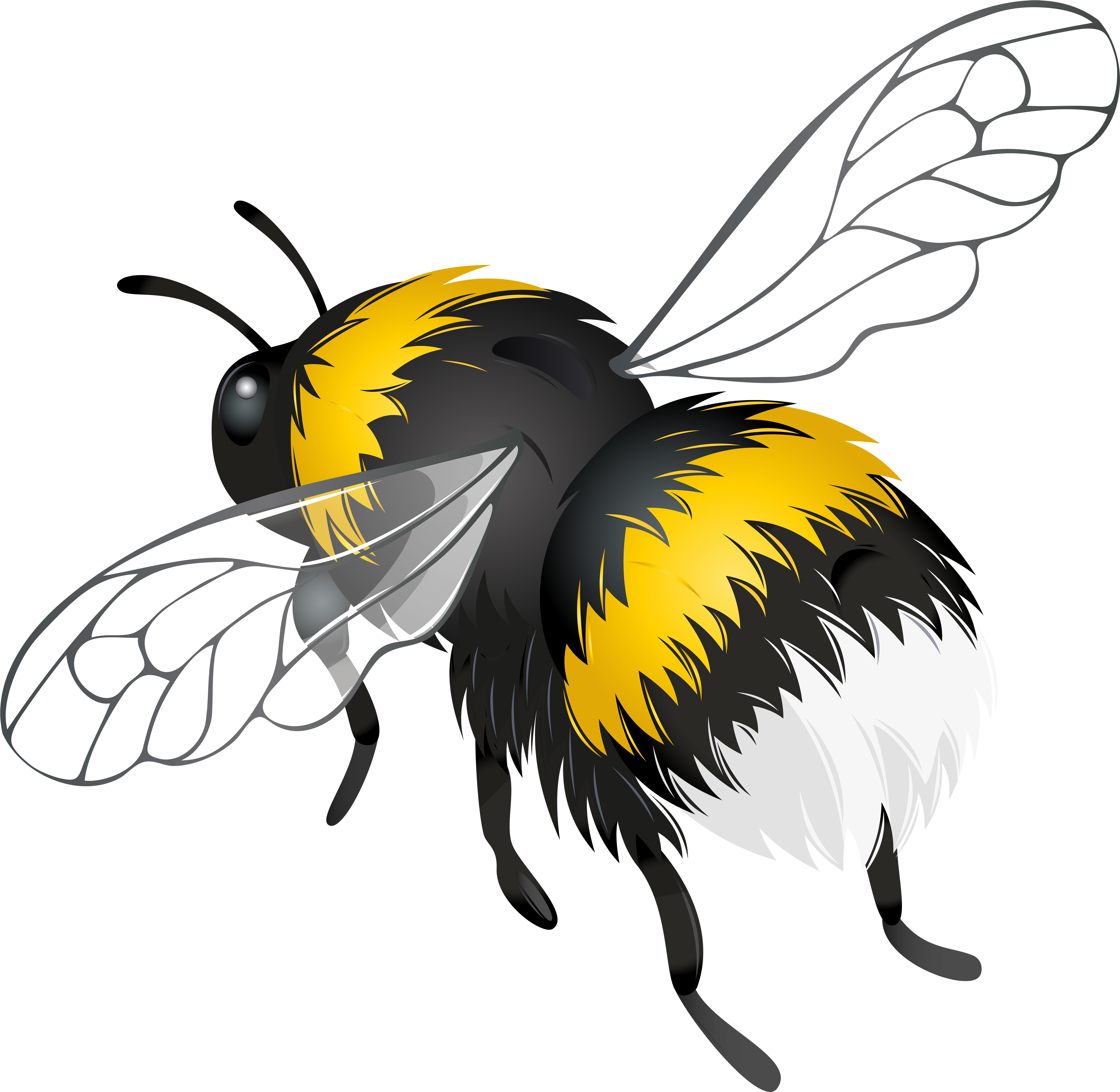 Download Flying Bee Png Clipart - Bee Flying Png Transparent Png Png