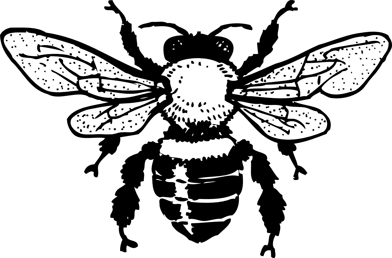 Honey Bee Tattoo Honey Bee Tattoo Design - Bee Clip Art Free Black And White - Png Download (1331x875), Png Download