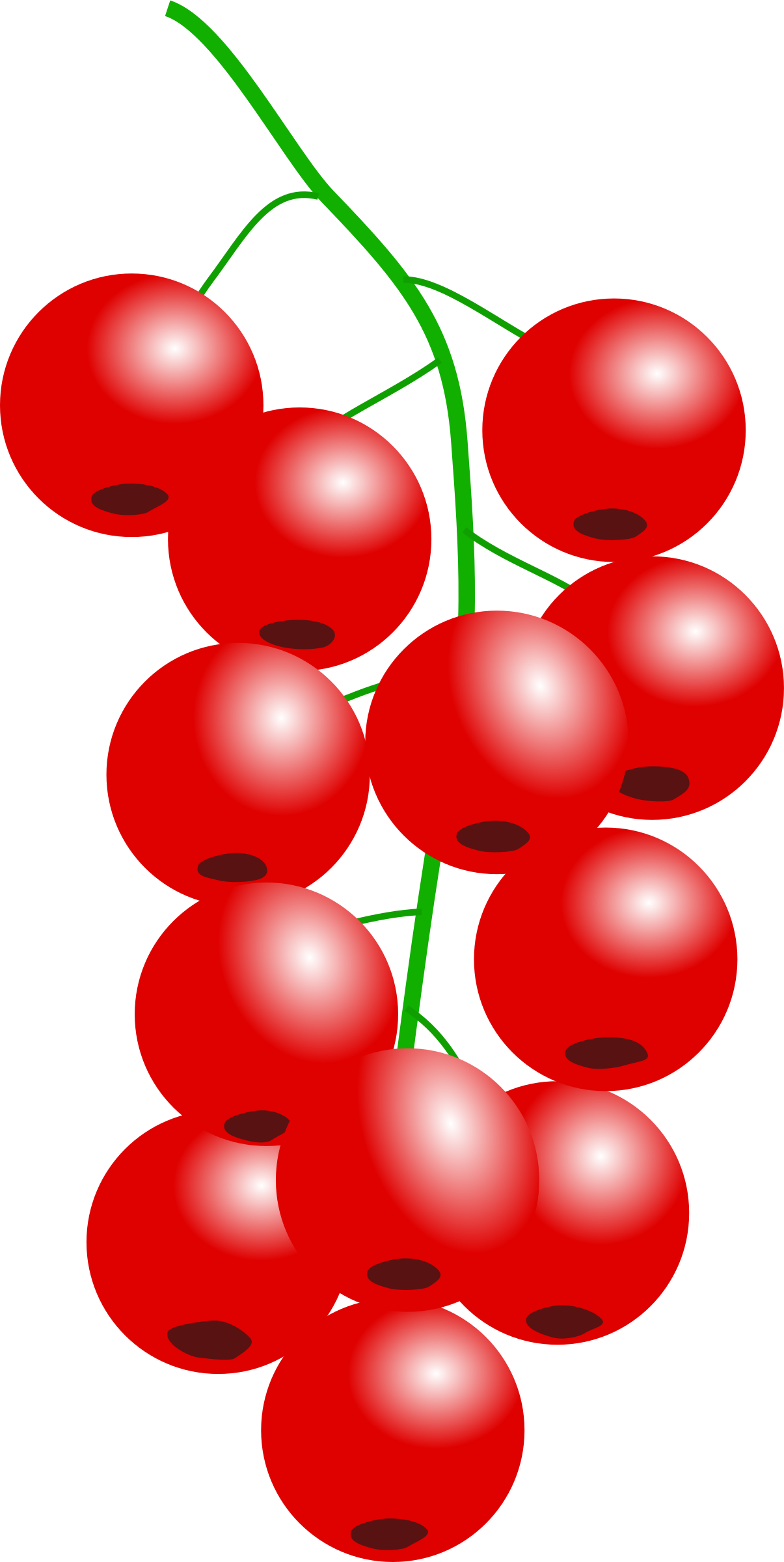 This Free Icons Png Design Of Redcurrant Png - Red Fruits Clip Art Transparent Png (1205x2400), Png Download