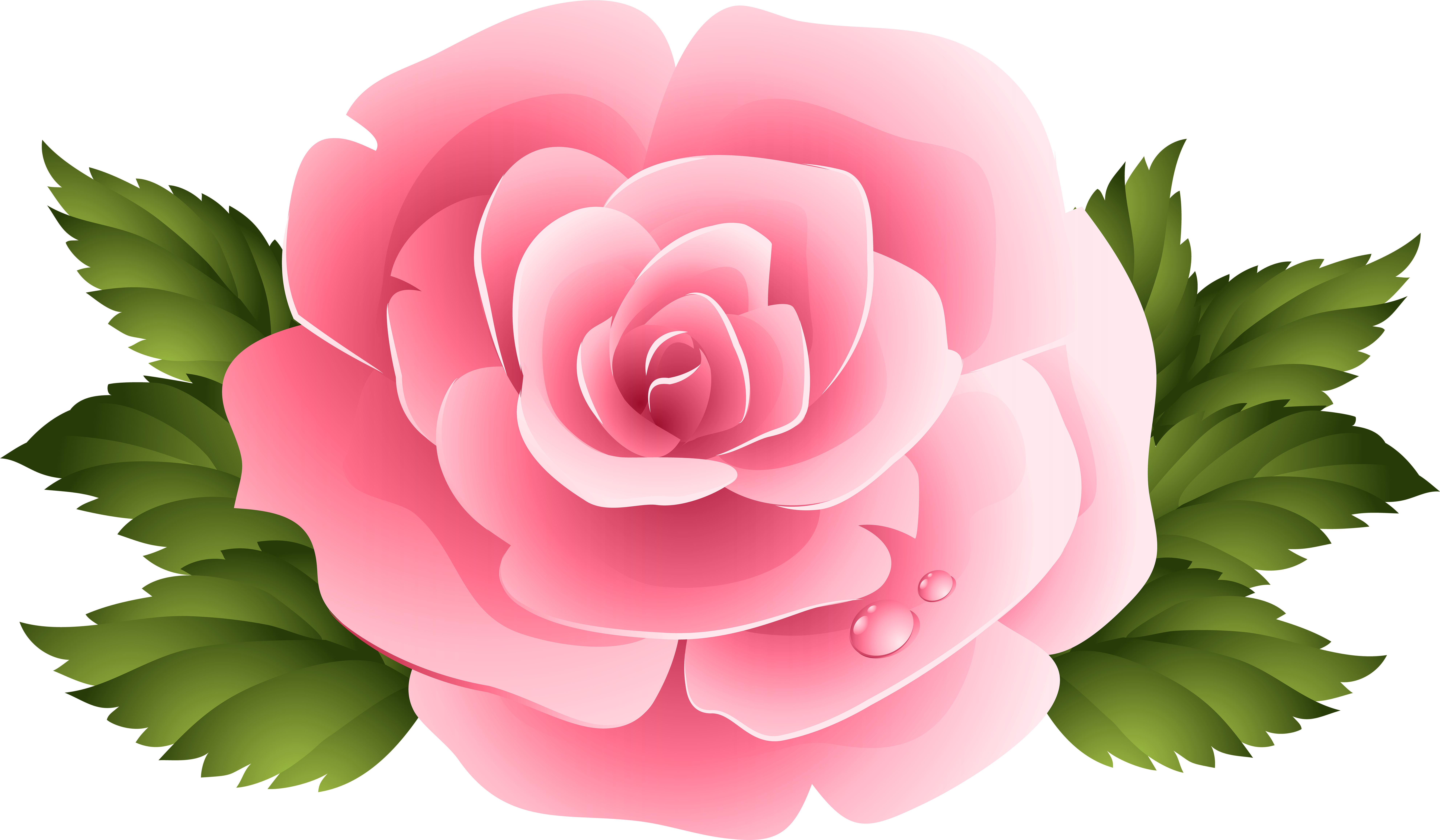 Pink Rose Clipart Pinc - Rose Clip Art Png Transparent Png (8000x4715), Png Download