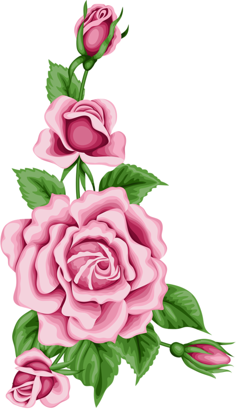 Vintage Flower Card With Colorful Roses - Rose Flowers Png Clip Art Transparent Png (462x800), Png Download