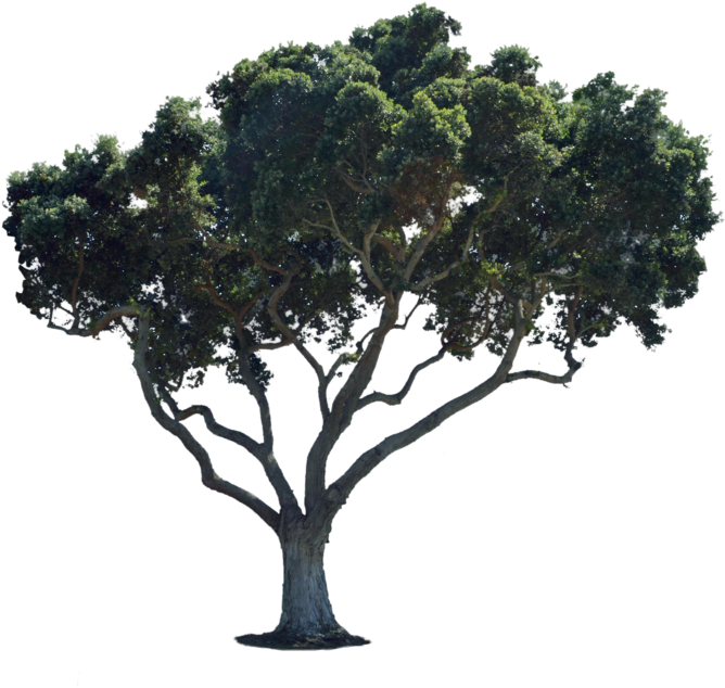 1024 X 678 9 - Street Png For Photoshop Clipart (1024x678), Png Download