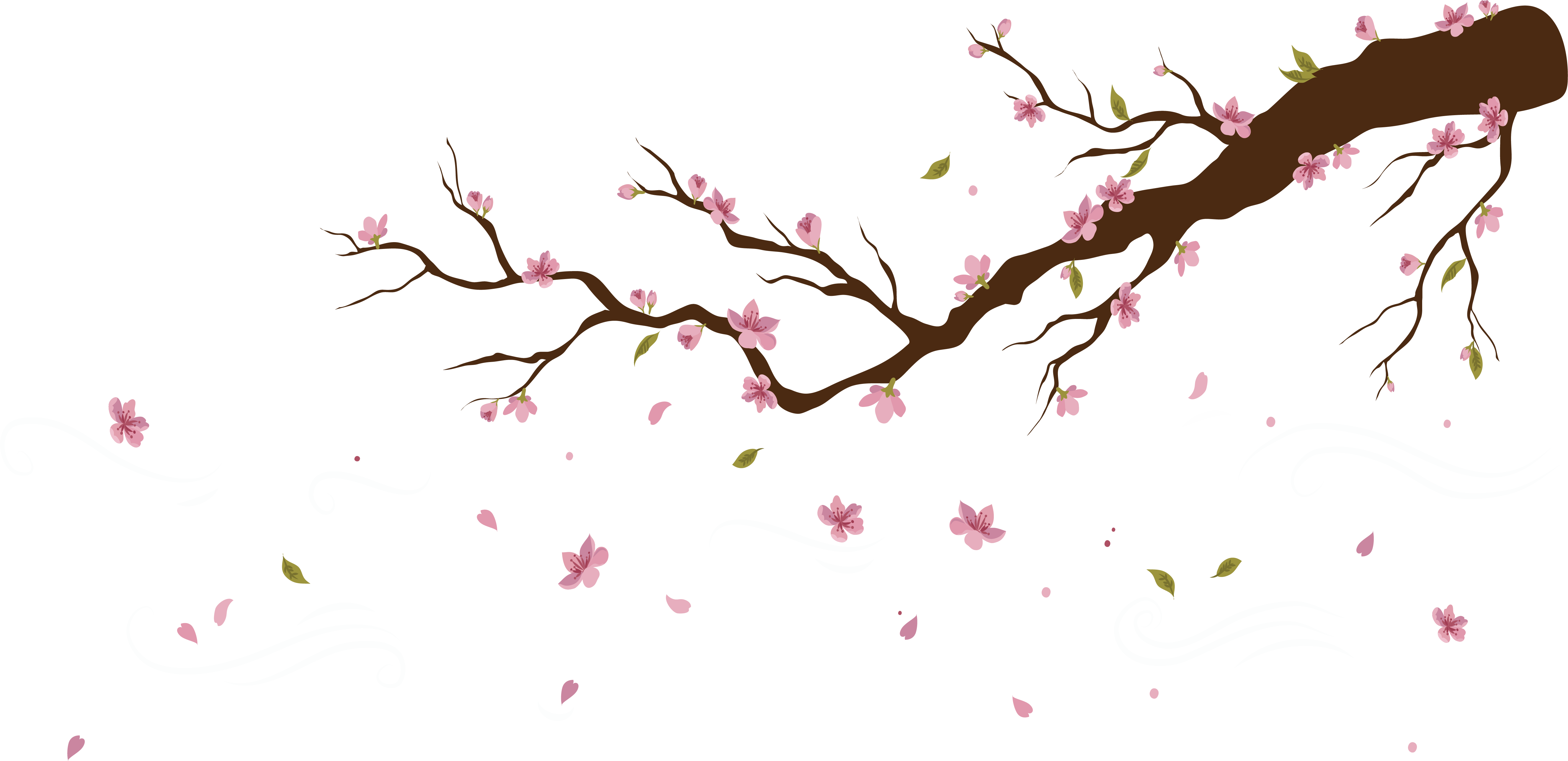 Cherry Blossom Petals Falling Png Clipart (5312x2577), Png Download