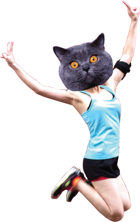 Photo Cathead-png Zpsnl8lxk6v - British Shorthair Clipart (944x1024), Png Download