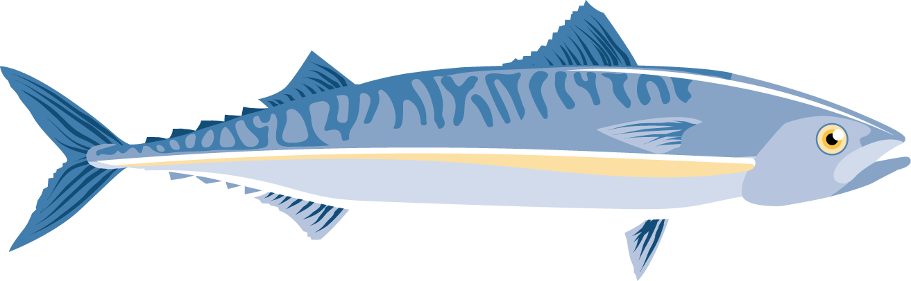Fishing With Neighbours - Sailfish Clipart (1313x406), Png Download
