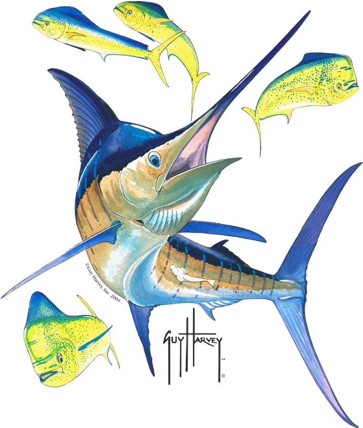 Blue Marlin - Guy Harvey Marlin Clipart (736x873), Png Download