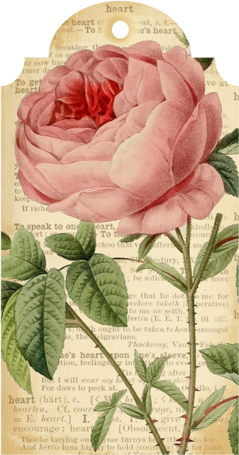 Callmevictorian Free Flower Printable Tags - Paper Clipart (470x726), Png Download