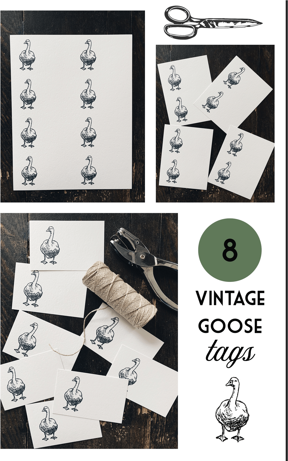 Download Below - Bbg Clipart (1206x1759), Png Download