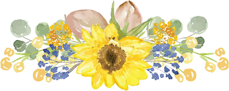 Straightsunflower - Black-eyed Susan Clipart (1000x453), Png Download