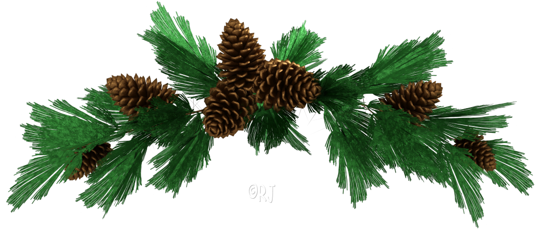 Christmas Assortment - Conifer Cone Clipart (1069x482), Png Download