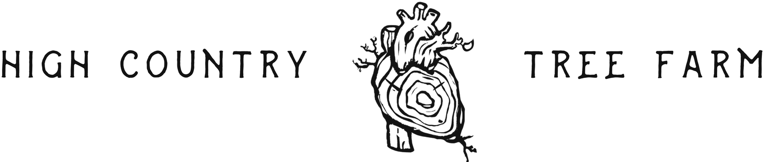 In Addition To Picking Red Cedar, Douglas Fir, Hemlock, - Illustration Clipart (1500x315), Png Download