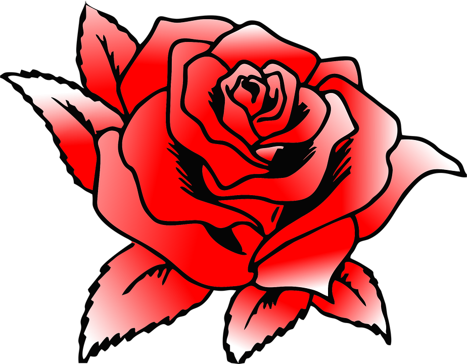 Rosa Vermelha, Flores, Rosas, Cor Vermelha, Jardim - Rose Coloring Pages To Print Clipart (924x720), Png Download