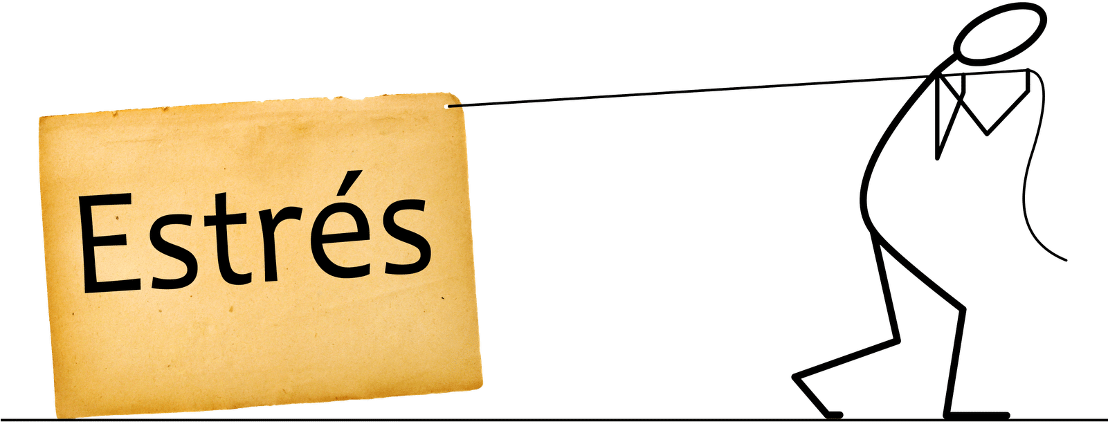 Clip Art - Png Download (1601x613), Png Download