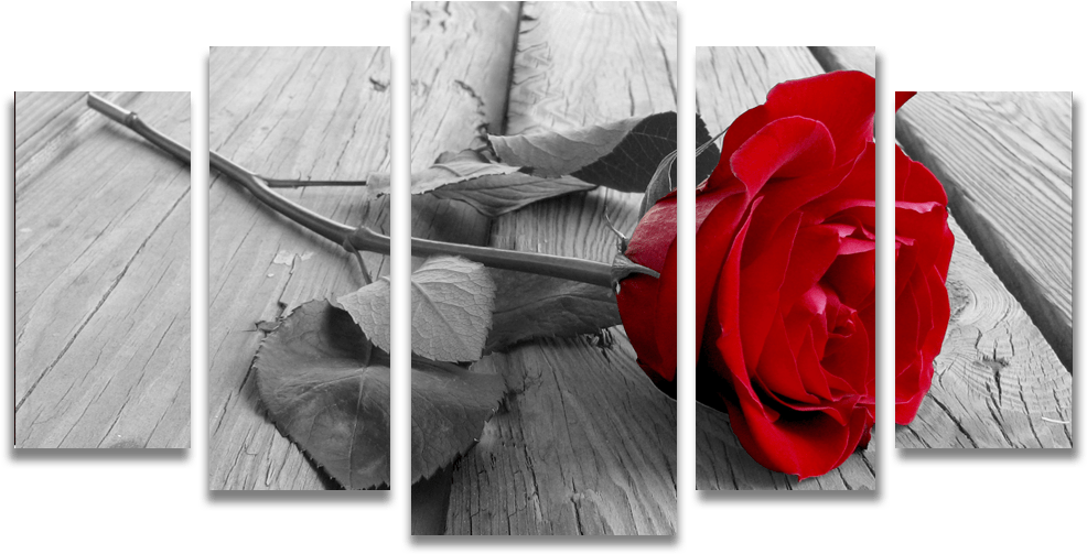 Tela Canvas Para Sala 5 Peças Rosa Vermelha Em Preto - Rose On A Dock Clipart (1000x1000), Png Download