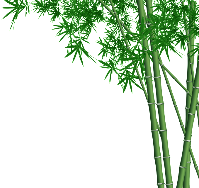 Bamboo Forest Transparent - Bamboo Design Clipart (679x641), Png Download