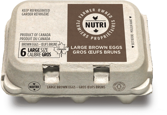 Large Brown Eggs - Gadget Clipart (1200x600), Png Download