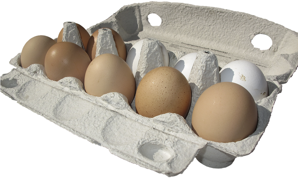 Truth Or Myth - Eggs Carton Transparent Background Clipart (960x584), Png Download