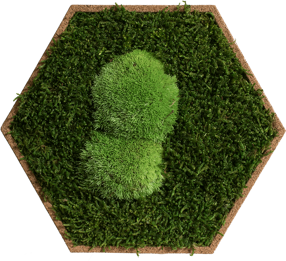Lawn Clipart (1000x896), Png Download