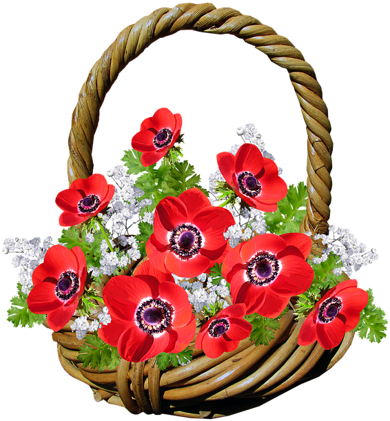 Basket, Anemone, Red Flowers, Gift - Basket Of Flower Png Clipart (675x720), Png Download