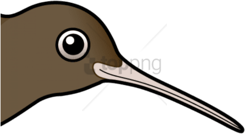 Free Png Download Bird Cartoon Png Images Background - Seabird Clipart (850x467), Png Download